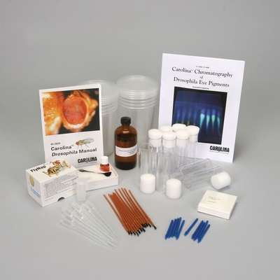 Carolina® Chromatography of Drosophila Eye Pigments Kit (with voucher)